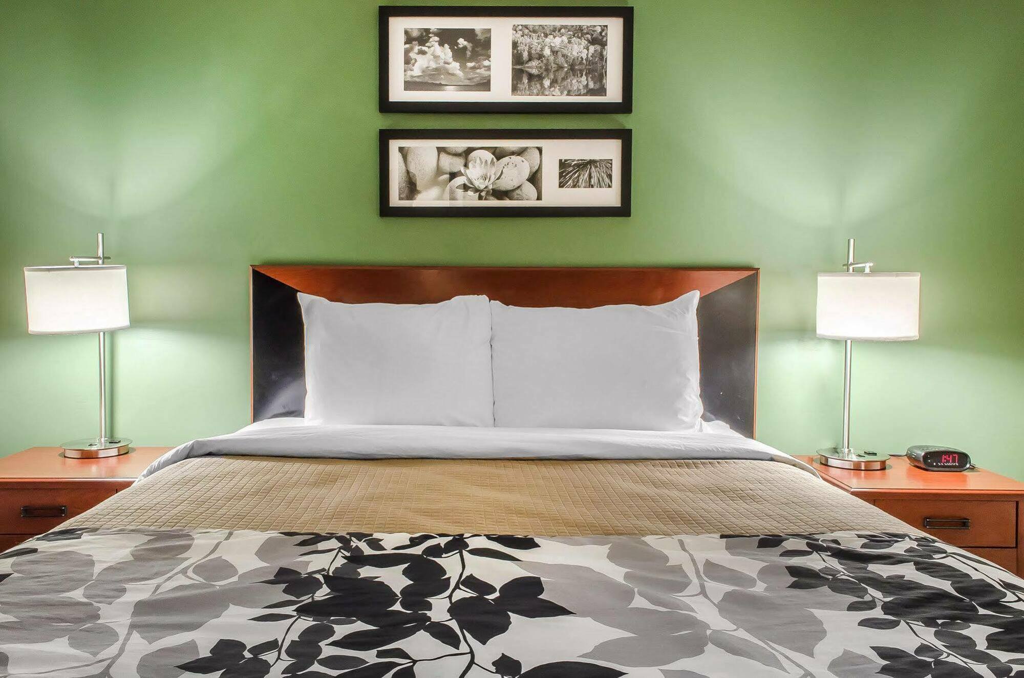 Sleep Inn Near Penn State - State College, Pa מראה חיצוני תמונה
